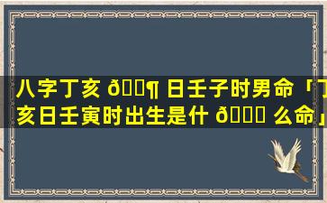 八字丁亥 🐶 日壬子时男命「丁亥日壬寅时出生是什 🐕 么命」